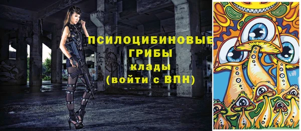 ешки Абаза
