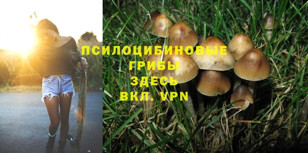 гидра Абдулино