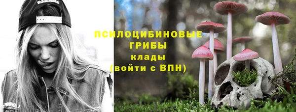 ешки Абаза