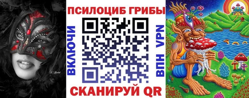 Псилоцибиновые грибы Psilocybe Нахабино