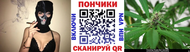 где купить наркоту  Нахабино  Каннабис гибрид 